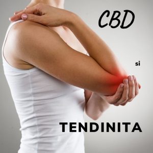 CBD si tendinita