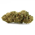 cannalight CBD High Confidential