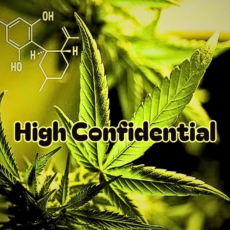 Sistemul Endocannabinoid High Confidential