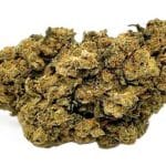 Floarea Acapulco Gold CBD HPC