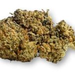 Zero Gravity CBD premium