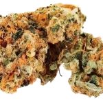Orange Bud 20 % CBD fara THC