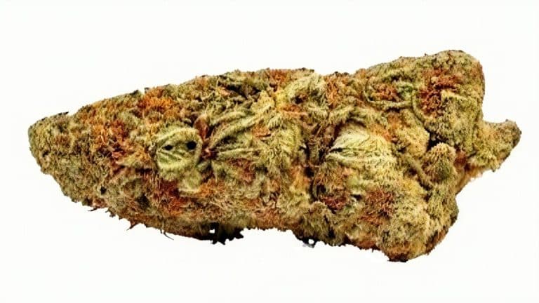 Gorilla Glue 15 % CBD fara THC