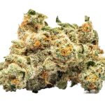 Jack Herer 15% CBD fara THC