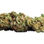 White Widow 15 % CBD fara THC
